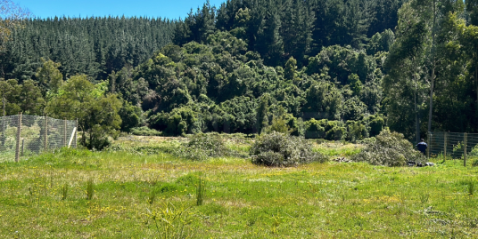 TERRENO EN VALLE DEL RÍO PINGUERAL